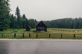 Rustic wooden cabin in a green meadow with forest background