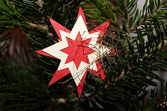 Red and White Paper Star Christmas Ornament on Pine Branch