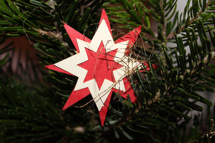Red and White Paper Star Christmas Ornament on Pine Branch
