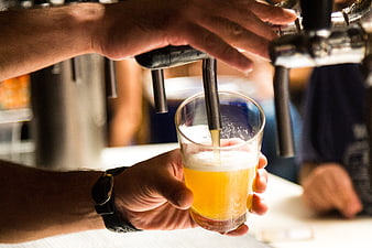 Pouring Draft Beer from Tap into Glass
