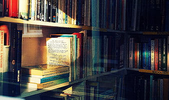 Sunlit Bookshelf with Open Book and Sociology Texts