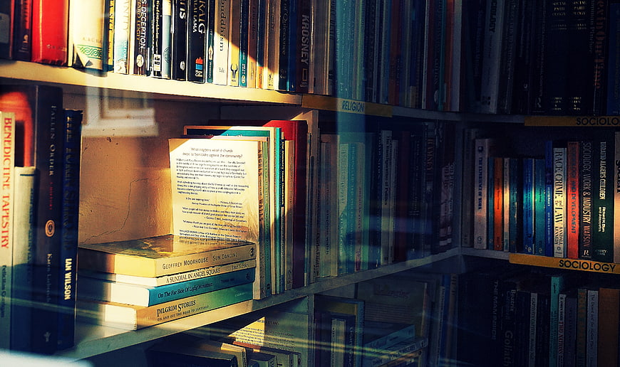Sunlit Bookshelf with Open Book and Sociology Texts