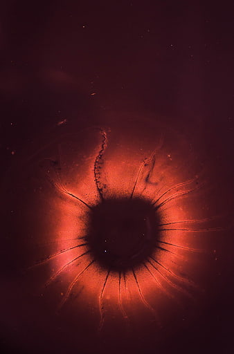 Abstract Macro Red Eye with Dark Pupil and Radiating Lines