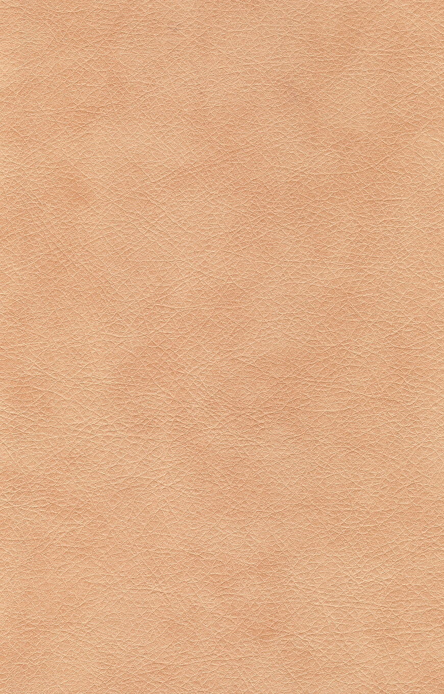 Beige Leather Texture Background