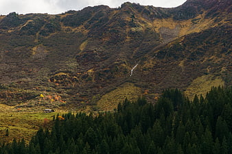 Autumn Mountain Landscape with Forest and Waterfall