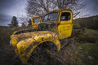 Abandoned vintage yellow truck in overgrown field