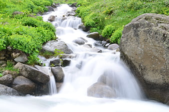Serene Mountain Stream with Lush Green Vegetation