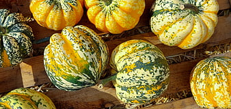 Colorful heirloom pumpkins on wooden crate