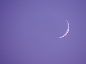 Crescent moon in purple twilight sky