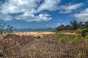 Scenic View of Pallarenda Beach with Dry Grass Foreground