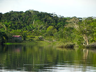 Rural Cabin on the Bank of a Calm Amazon River in Brazil