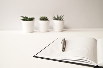Minimalist white desk with open notebook, pen, and succulents
