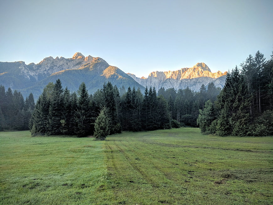 Sunlit Mountain Peaks Over Green Meadow and Pine Forest