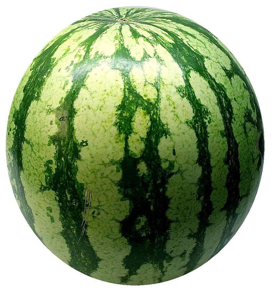 Whole Green Watermelon Isolated On White Background