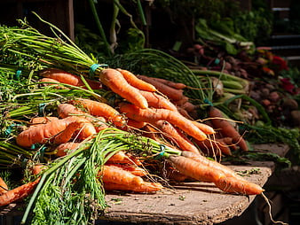 Freshly Harvested Carrots on Wooden Market Table