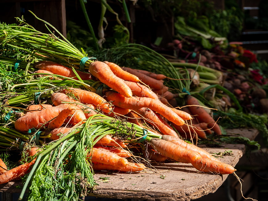 Freshly Harvested Carrots on Wooden Market Table