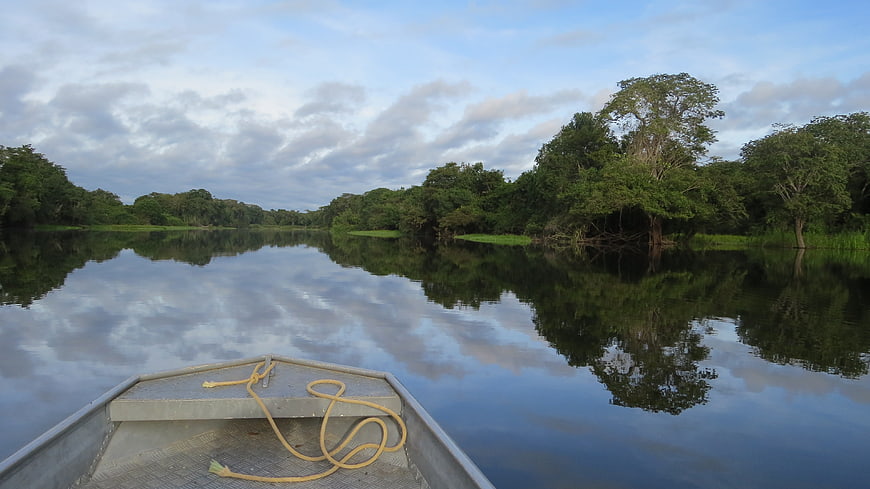Boat on Calm Amazon River with Jungle Reflections