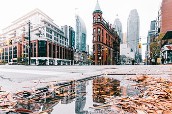 Low angle city street with puddle reflection and autumn leaves