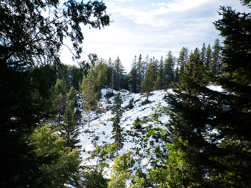 Snowy Mountain Slope Framed by Dark Pine Trees