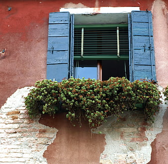 Weathered Window with Blue Shutters and Succulents