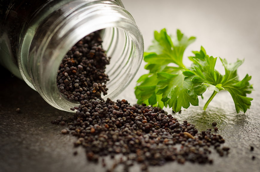 Spilled Poppy Seeds and Fresh Parsley on Dark Surface
