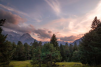 Majestic Mountain Landscape at Sunset with Pine Forest
