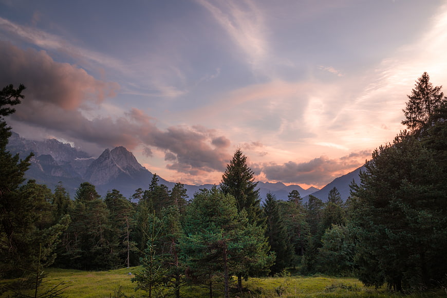 Majestic Mountain Landscape at Sunset with Pine Forest