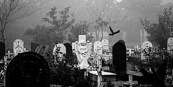 Black and white cemetery with angel statue and flying bird