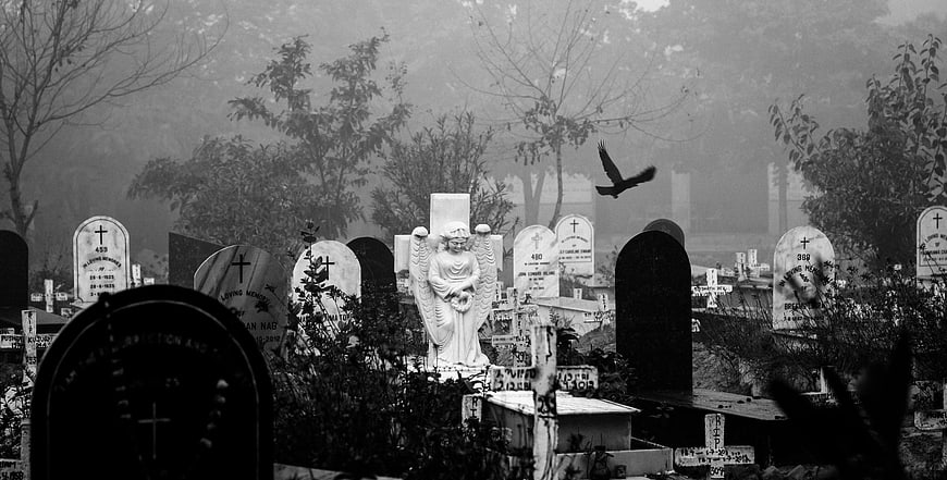 Black and white cemetery with angel statue and flying bird