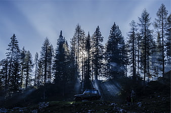SUV parked in misty pine forest with sun rays