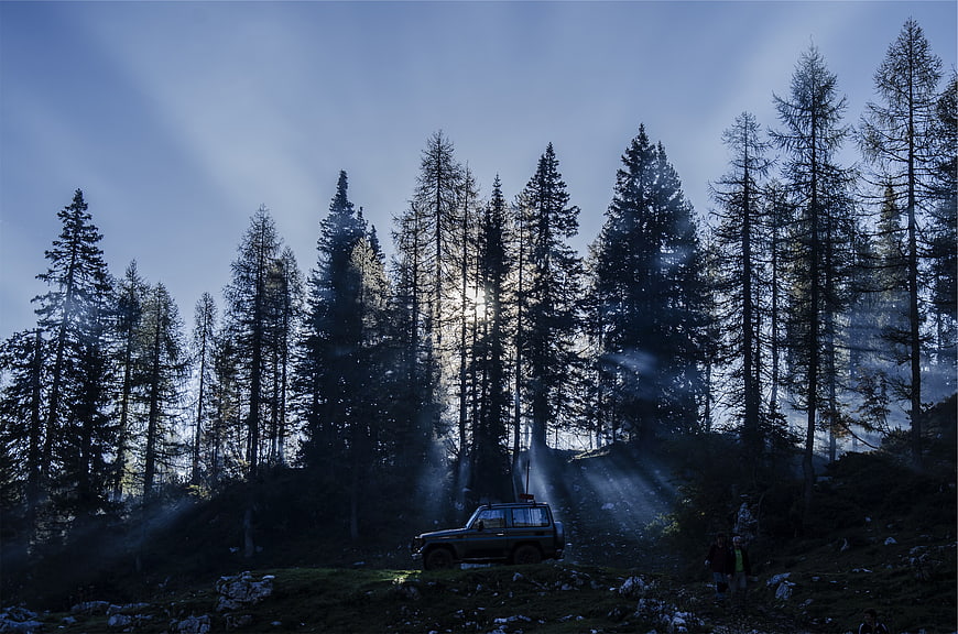 SUV parked in misty pine forest with sun rays