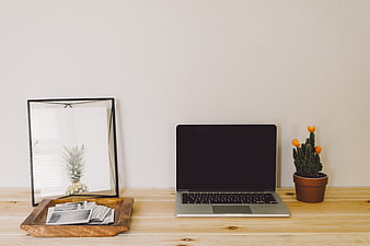 Minimalist workspace with laptop, cactus, and photo tray