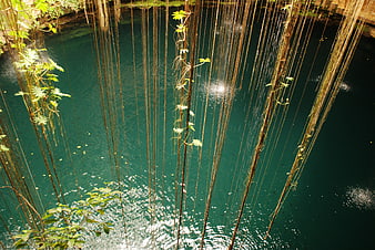 Aerial View of Hanging Vines Over Turquoise Water