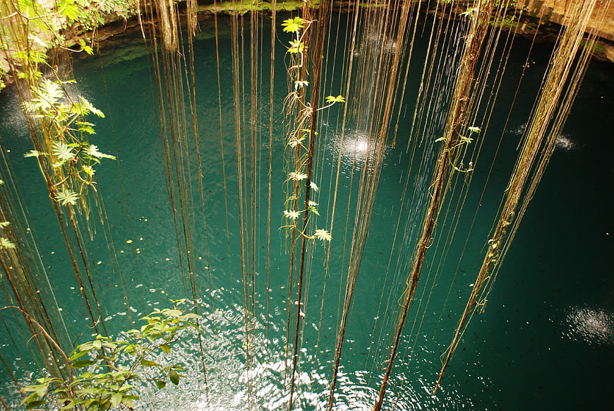 Aerial View of Hanging Vines Over Turquoise Water