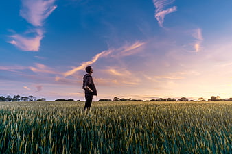 Man standing in green wheat field looking at sunset sky