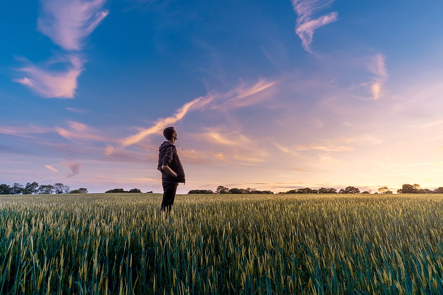 Man standing in green wheat field looking at sunset sky