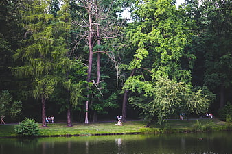 Serene park scene with people relaxing by a lake