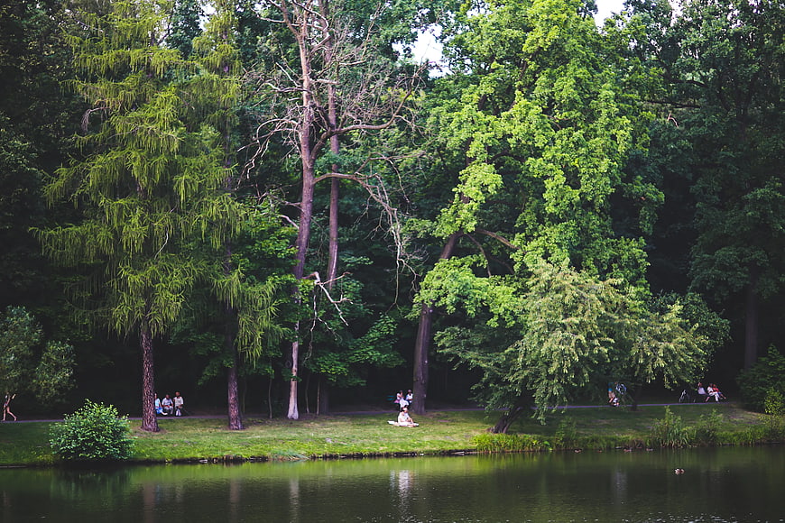 Serene park scene with people relaxing by a lake