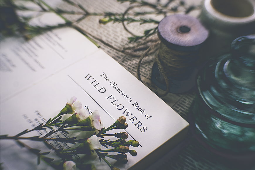 Vintage Book of Wild Flowers with Botanical Arrangement