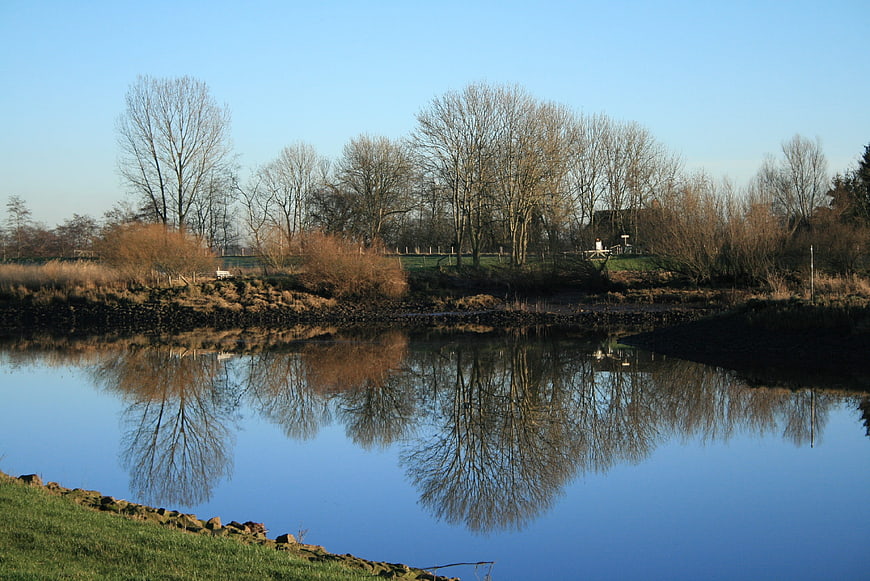 Serene Winter River Reflection with Bare Trees and Blue Sky