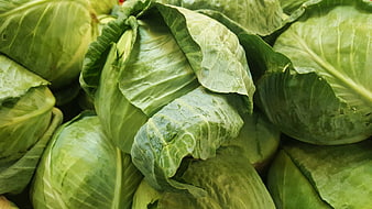 Fresh Green Cabbage Heads Close-Up Texture