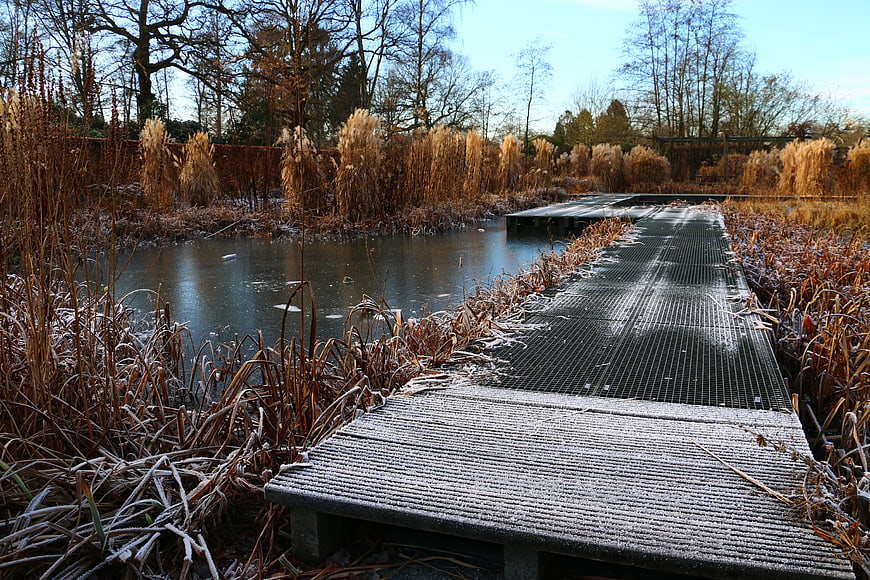 Frosty wooden boardwalk leading to frozen pond in winter