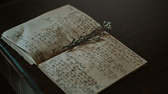 Vintage handwritten journal with dried flowers on dark wood