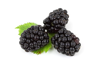 Three Fresh Ripe Blackberries With Green Leaf On White Background