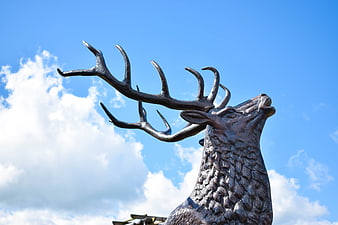 Bronze Stag Statue Head Against Blue Sky