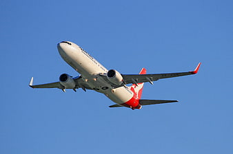 Qantas Boeing 737 Airplane Taking Off Against Clear Blue Sky