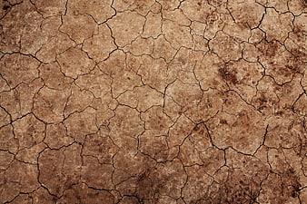 Cracked Dry Earth Texture Background
