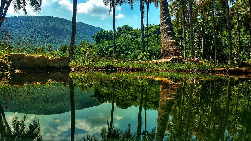 Tropical Landscape with Palm Trees and Mountain Reflection