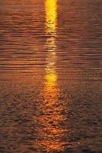 Golden Sunset Reflection on Rippling Water Surface