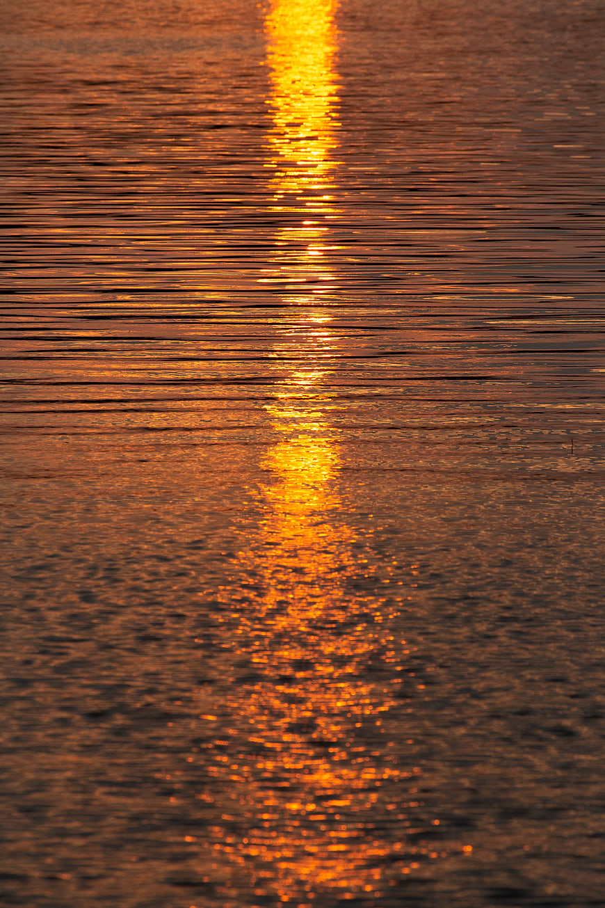 Golden Sunset Reflection on Rippling Water Surface